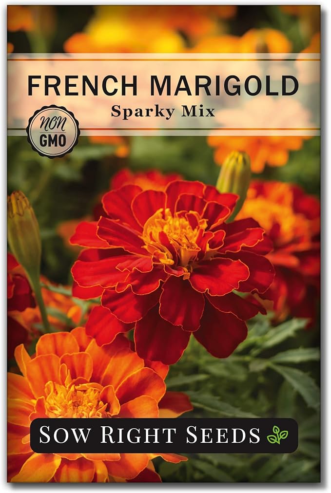 Sow Right Seeds - Sparky Marigold Seeds to Plant - Non-GMO Heirloom Seed Packet with Instructions - Medium Sized French Mix - Attract Bees and Butterflies, Deter Mosquitoes - Companion Plant (1)