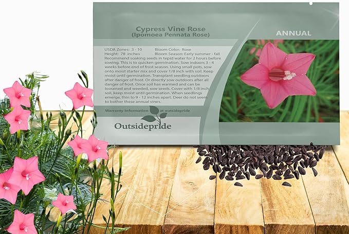 Outsidepride Rose Cypress Vine Seeds - 100 Pcs Annual Flower Seeds with Nectar-Rich, Star-Shaped Flowers & Feathery, Fern-Like Leaves for Fences, Trellises, Pergolas & Vertical Gardens