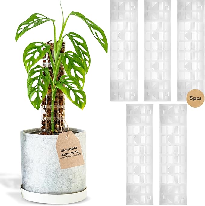 THICCLY V2 GrowPole Medium 5 Pcs - Front Opening Clear Moss Poles for Climbing Plants, D-Shaped Moss Pole for Monstera Plant Support Plant Climbing Pole, Plastic Plant Pole Support for Philodendron
