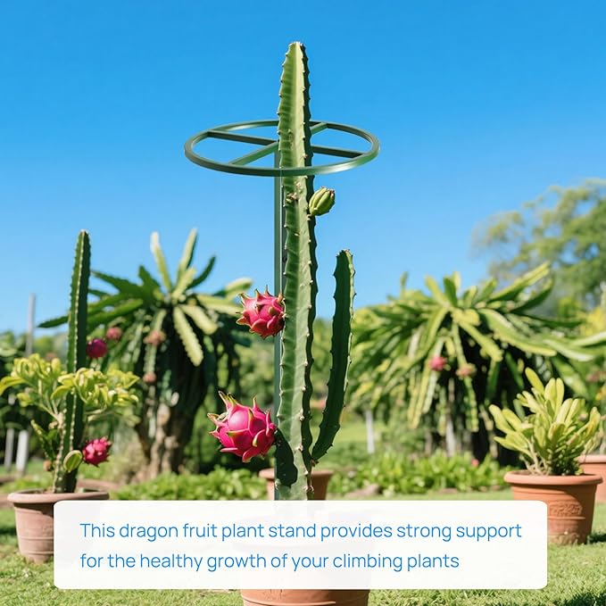 1 Pcs Adjustable Round Dragon Fruit Trellis,Durable Metal Plant Trellis Outdoor Climbing Plants Support Frame for Vertical Gardening Trees Cactus Green