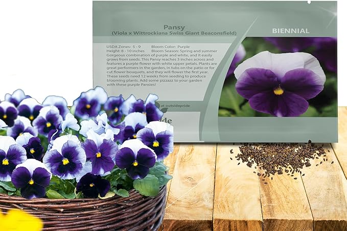 Outsidepride Purple & White Bicolor Beaconsfield Viola Pansy Seeds for Planting - 1,000 Pcs. Cold-Hardy & Pollinator Friendly Flowers with Fragrant Blooms for Garden Beds, Borders & Container Displays
