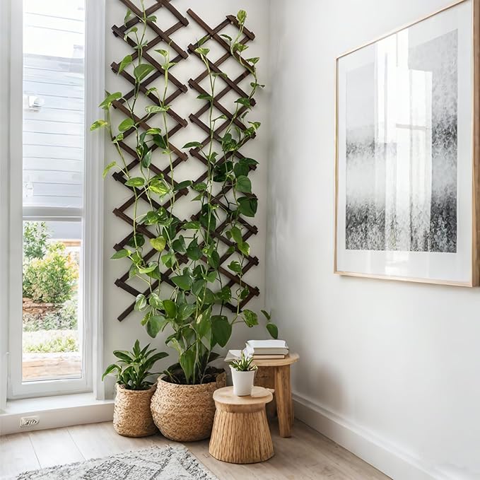 2 Pcs Expandable Garden Trellis, 13" x 68" Thickened Wooden Lattice Trellis for Climbing Plants Outdoor Ivy Vine Rose Clematis for Garden Fence Wall Patio Room Decor (2)