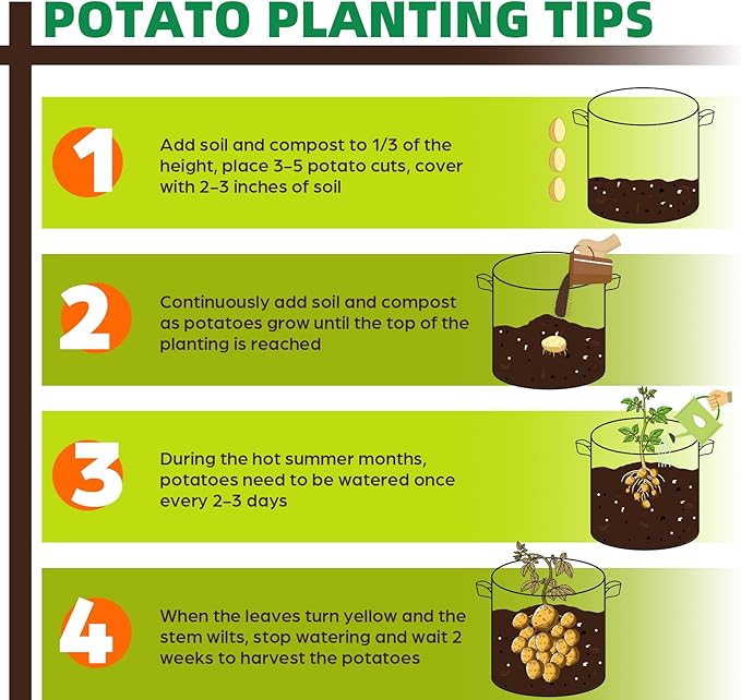 5 Pack 10 Gallon Grow Bags, Thickened Nonwoven Fabric Planter Pots with Handles, Heavy Duty 300G Garden Pots for Tomato, Potato and Vegetable