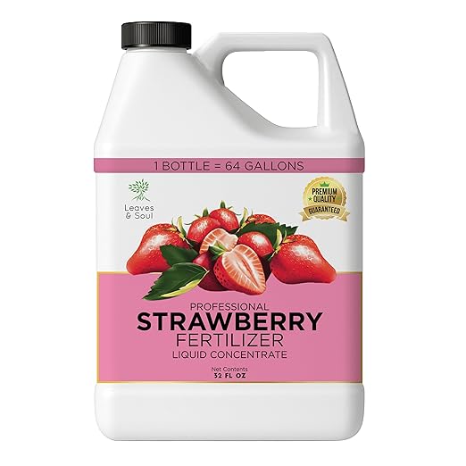 Leaves and Soul Professional Strawberry Fertilizer Liquid Concentrate - 6-4-6 Blend Liquid Garden Fertilizer for Strawberries - Plant Food for Strawberry Bushes and Plants - 32oz