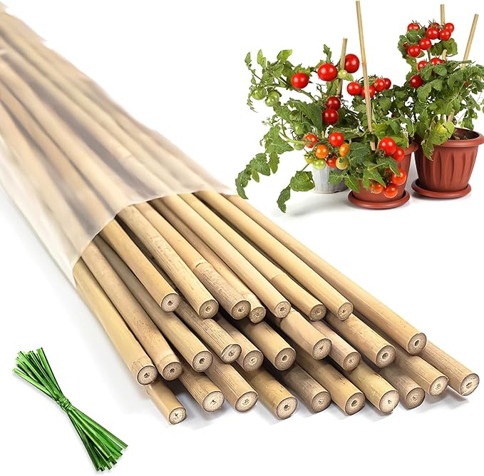 Plant Stakes,20Pcs Bamboo Stakes,16 Inches Natural Bamboo Plant Support Stakes,Bamboo Stakes for Indoor and Outdoor Plants Tomatoes Beans Flowers Potted Plants Climbing Support