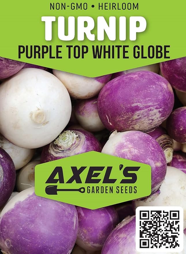 Turnip Seeds for Planting – 200 Non GMO Heirloom Purple Top Turnip Seeds – Full Planting Instructions to Plant Home Outdoor Vegetable Garden – Great Gardening Gift, 1 Packet