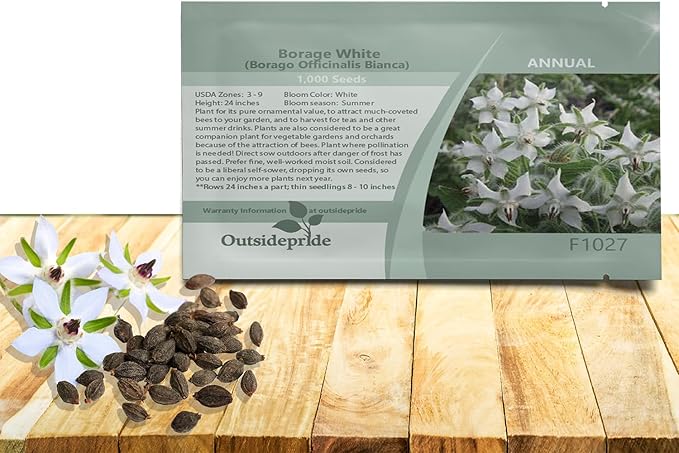 Outsidepride White Borage Seeds for Planting – 2000 Pcs. Annual, Drought-Tolerant Herb Seeds with Star-Shaped Blooms, Attracts Bees for Pollinator Gardens, Summer Teas, Decoration & Culinary Use