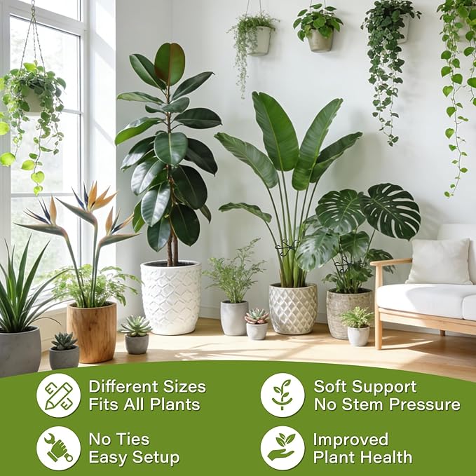 24pcs Plant Stem Support, Unique Design Stem Supports for Indoor Plants, Monstera Plant Support for Thriving Growth, 4 Sizes Climbing Houseplant Stem Holders, Reusable Plant Accessories