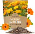 Calendula ‘Pacific Beauty Mix’ – Extra Large Packet – Over 3,000 Open Pollinated Non-GMO Wildflower Seeds – Calendula officinalis