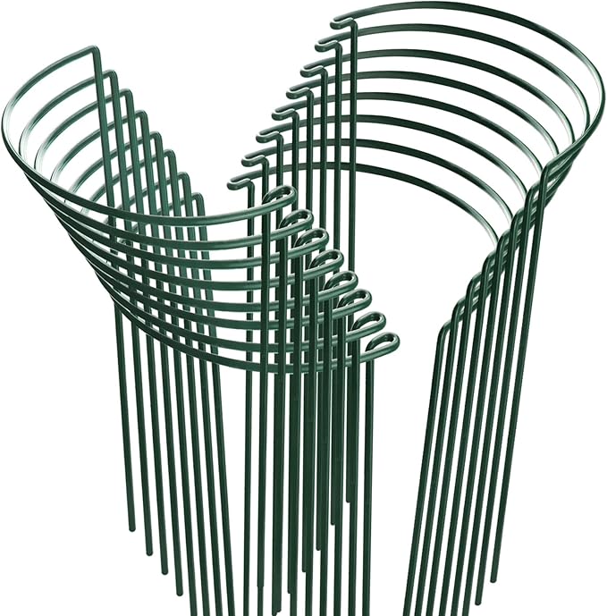 HiGift 16 Pack Plant Support Stakes, Half Round Metal Garden Plant Stake Indoor Peony Cages and Supports, Green Plant Support Ring Border for Tomato,Hydrangea,Flower Outdoor (10" Wide x 15.8" High)