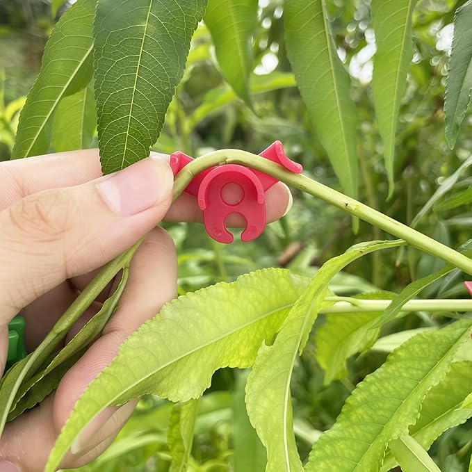 90pcs-Plant Bender, Trellis Clamps for Climbing Plants Garden Plant Grow Tools,Plant Training Clips, Lst Clips for Low Stress Training Plant Stem Support（White, red, Green）