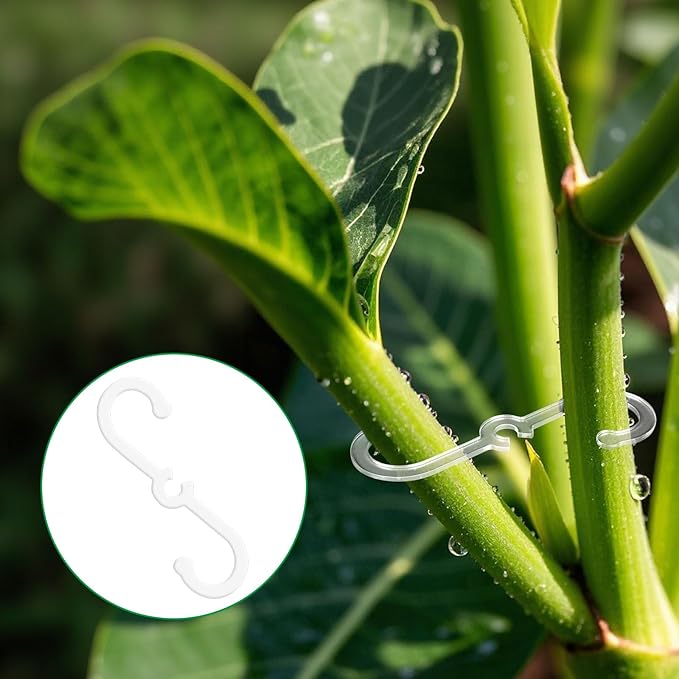 BOXOB 4pcs Plant Stem Support, 2 Sizes Plant Stem Holder Hook Monstera Stabilizer for Indoor Outdoor Climbing Houseplant Growth Accessories (Clear)