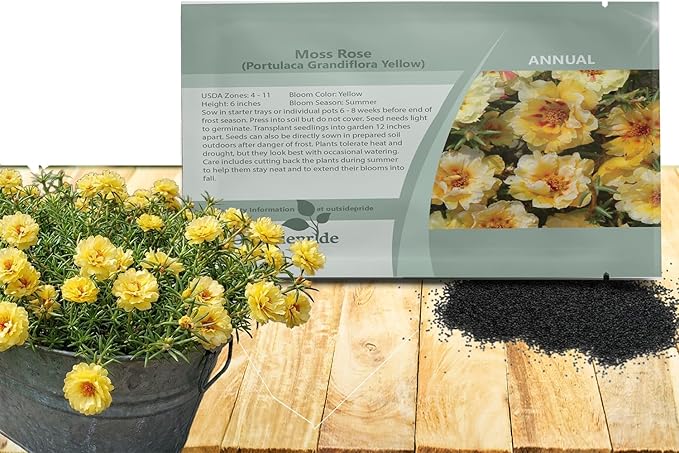 Outsidepride Yellow Moss Rose Seeds - 10000 Pcs Annual, Drought & Heat Tolerant, Pollinator Friendly Ground Cover Seeds for Planting w/Vibrant Blooms & Succulent Foliage, Ideal for Xeriscaping