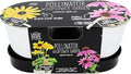 BUZZY Seeds Pollinator Garden Grow Kit with 2 Galvanized Metal Pots, Black-Eyed Susan and Coneflower Seeds, Growing Medium, Plant Markers, Chalk and Easy Instructions, Great Gift for Plant Lovers