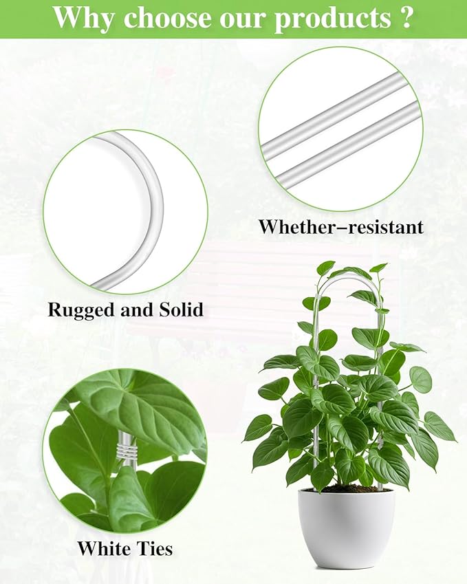 3 Pack U-Shaped Clear Acrylic Garden Trellis, Indoor Plant Support for Climbing Plants, Potted Houseplant Trellis for Hoya, Pothos, Monstera