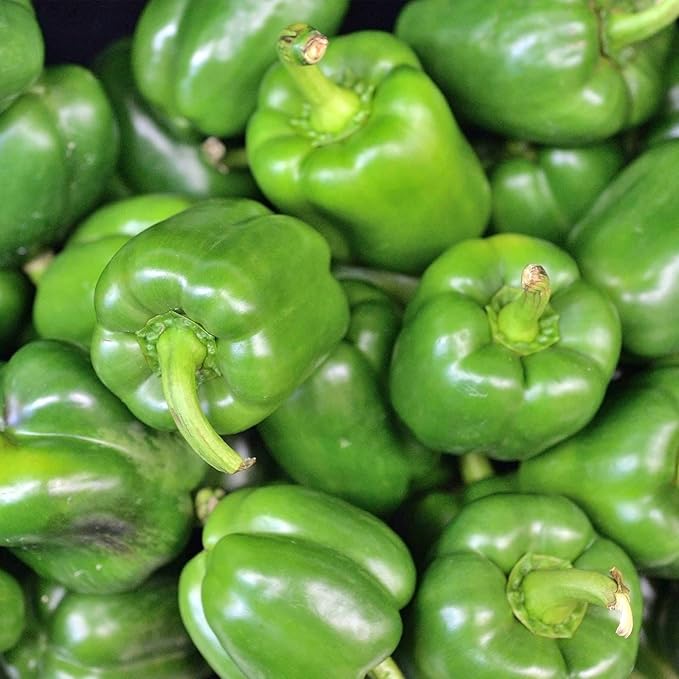 California Wonder 300 TMR Sweet Pepper Garden Seeds - 500 Mg Packet ~75 Seeds - Non-GMO, Heirloom Vegetable Gardening Seed