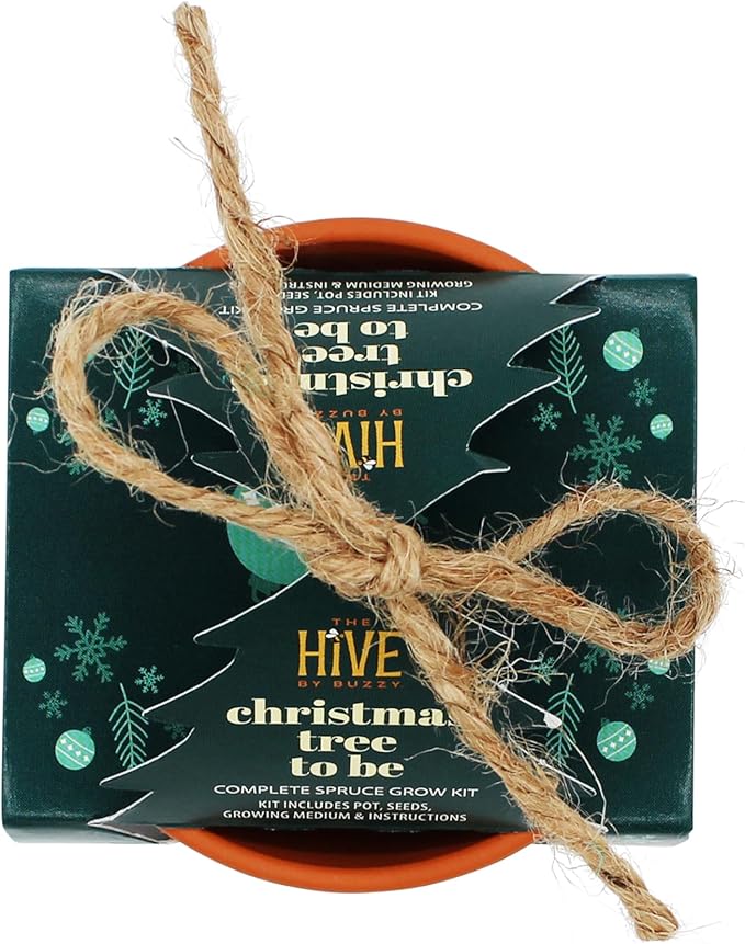 BUZZY Seeds Holiday Spruce Tree Kit 4-Pack Mini Terracotta Pots with Non-GMO Seeds and Growing Medium – Indoor Gardening Gift and Fun Stocking Stuffer for Tree Huggers, Family and Nature Lovers