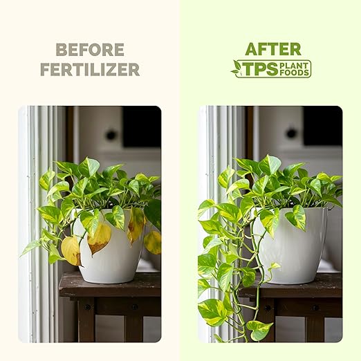 Pothos Fertilizer – Liquid Plant Food for Lush Growth, Stronger Roots & Vibrant Leaves, 8 oz
