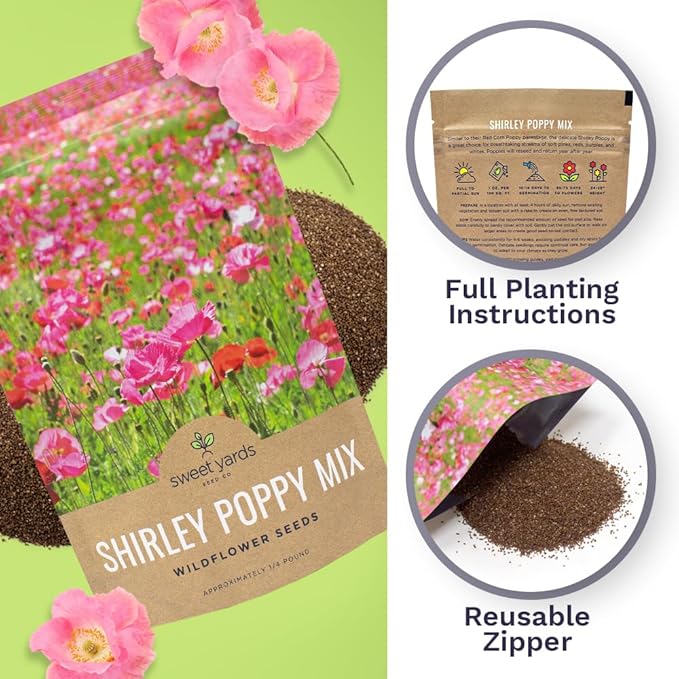Shirley Poppy Seeds – Mixed Colors – Bulk Quarter Pound Bag – Over 800,000 Open Pollinated Non-GMO Wildflower Seeds – Papaver rhoeas