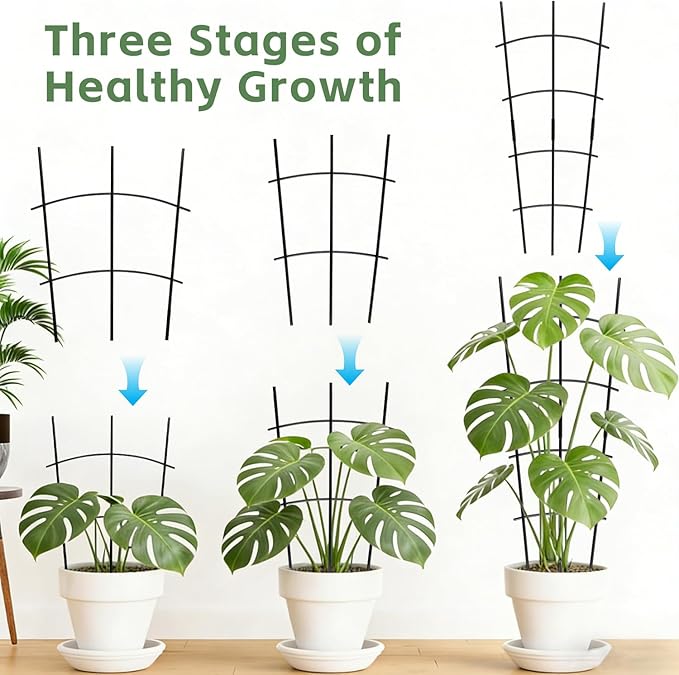 Garden Metal Trellis 24'' Thickened Plant Trellis for Climbing Plants Outdoor/Indoor，2 Pack Monstera Trellis for Potted Plants Flower Hoya Pothos Vine Ivy，Wave Shape