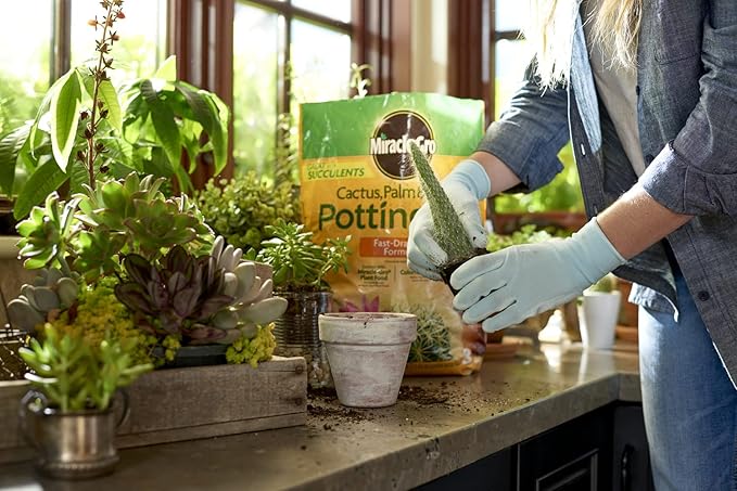 Miracle-Gro Cactus, Palm and Citrus Potting Mix, for Indoor or Outdoor Container Plants, Great for Succulents, 8 qt. (Pack of 2)
