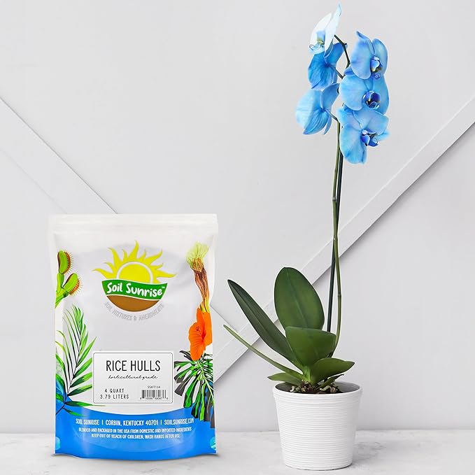 Soil Sunrise Horticultural Grade Rice Hulls (4 Quarts) All Natural Organic for House Plants and Chicken Bedding