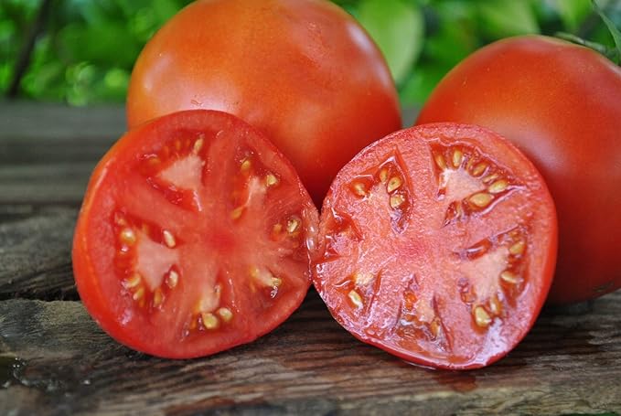 Seeds Red Mikado Tomato Heirloom Vegetable for Planting Non GMO