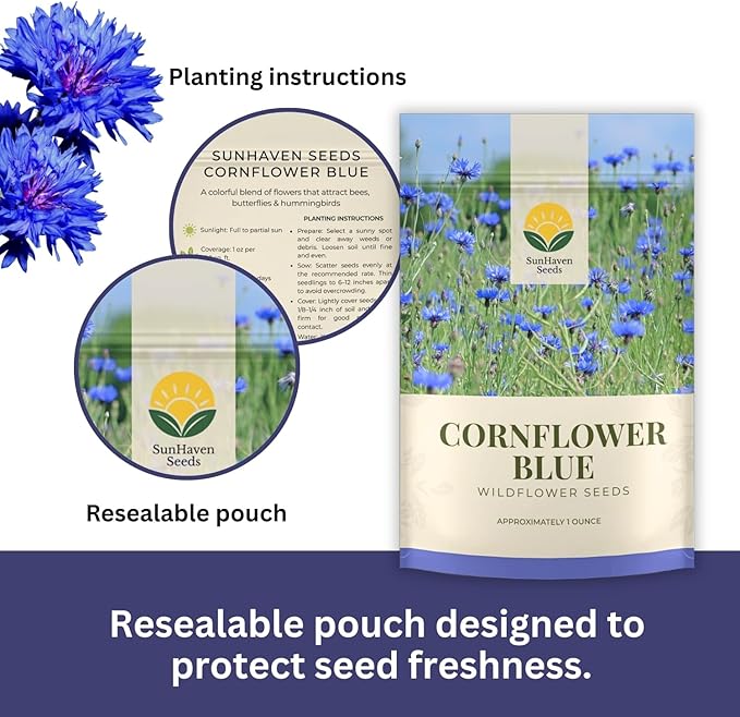 SunHaven Seeds Bachelor Button Seeds – Blue Cornflower – 5,500+ Seeds – 1 oz Bulk Extra Large Resealable Packet – Open-Pollinated Centaurea cyanus Wildflower Seeds