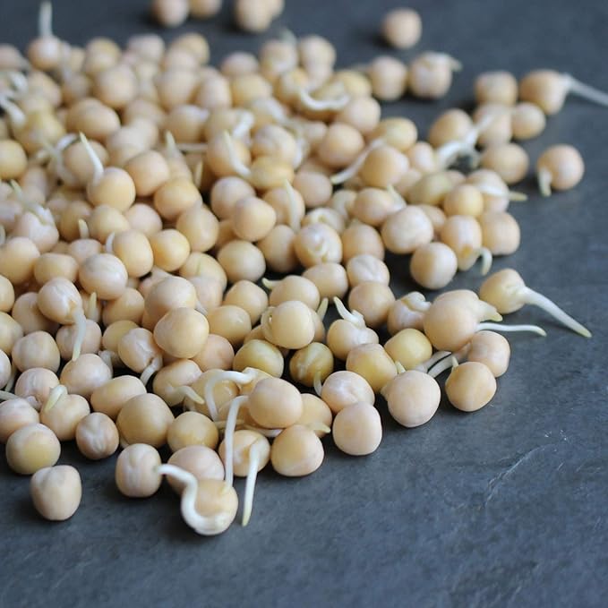 Organic Garden Yellow Pea Seed - 5 Lb ~10,000 Seeds - Non-GMO Heirloom Yellow Sprouting Pea Seeds for Microgreens Pea Shoots, Outdoor Gardening, Indoor Sprouts, Cover Crops, Organic Micro Greens Kit