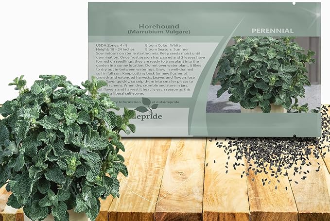 Outsidepride - Horehound Seeds - 5000 Pcs. Perennial, Compact, Easy to Grow & Pollinator Friendly, Herb Seeds for Planting Toothed, Wooly Gray-Green Foliage for Versatile & Culinary Uses