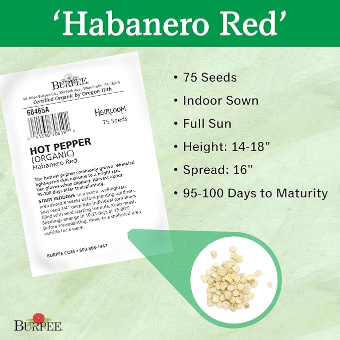 Burpee Habanero Red Organic Hot Pepper Seeds 75 seeds