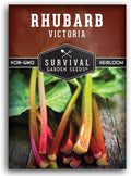 Victoria Rhubarb Seeds for Planting - Grow Cold-Tolerant Perennial Spring Vegetables/Fruit in Your Home Garden - Non-GMO Heirloom Variety - Survival Garden Seeds (1 Pack)