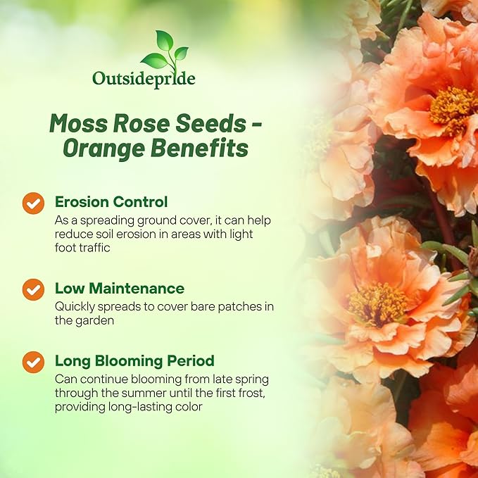 Outsidepride Orange Moss Rose Seeds - 5000 Pcs Annual, Drought & Heat Tolerant, Pollinator Friendly Ground Cover Seeds for Planting w/Vibrant Blooms & Succulent Foliage, Ideal for Xeriscaping