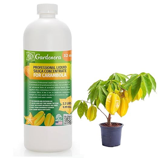 𝐏𝐑𝐎𝐅𝐄𝐒𝐒𝐈𝐎𝐍𝐀𝐋 Liquid Silica Plant Supplement - 32oz - Carambola Plants Liquid Silica Boost Fertilizer - Stronger Stems & Healthy Leaves for Indoor & Outdoor Carambolas (Makes 180 Gallons)
