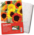 BloomingBulb Seed Mat - Easy to Plant and Grow Garden Seeds - Creates Fragrant, Vibrant Flower Garden (Sunflower Garden)