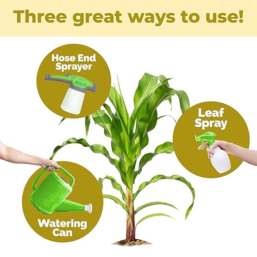 Sweet Corn Fertilizer – Liquid Plant Food for Bigger Ears, Vigorous Stalk Growth & Stronger Root Development, 32 oz
