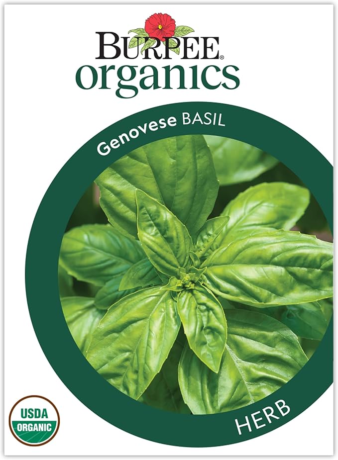 Burpee Organic Genovese Basil Seeds - Certified Organic Pesto Herb
