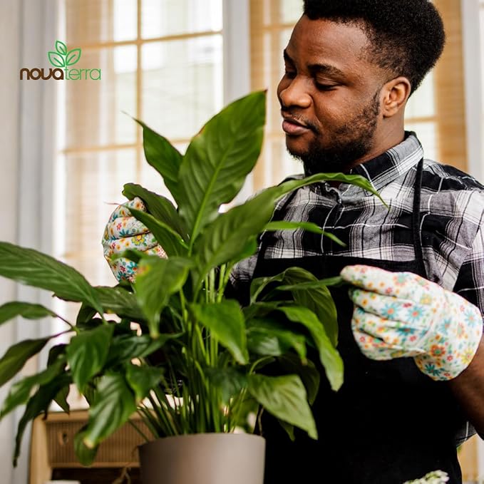 Potting Soil Indoor Plants Soil for Indoor Plants Potting Mix planters Food Plant Food for houseplants Fertilizer Free 2 oz Bag of Fertilizer Pellets Inside 2.4 Qts