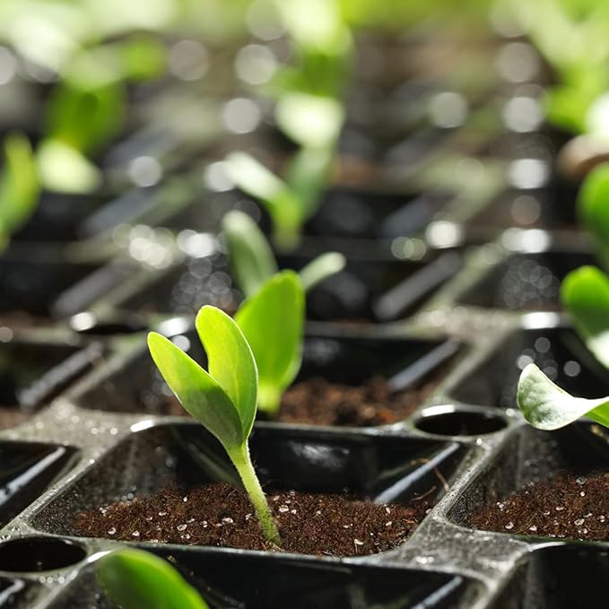 Seed Starting Soil Mix 4qt, Seed Starter Seedling Soil Ready to Use Suitable for Vegetable, Flower, Houseplant and Bonsai