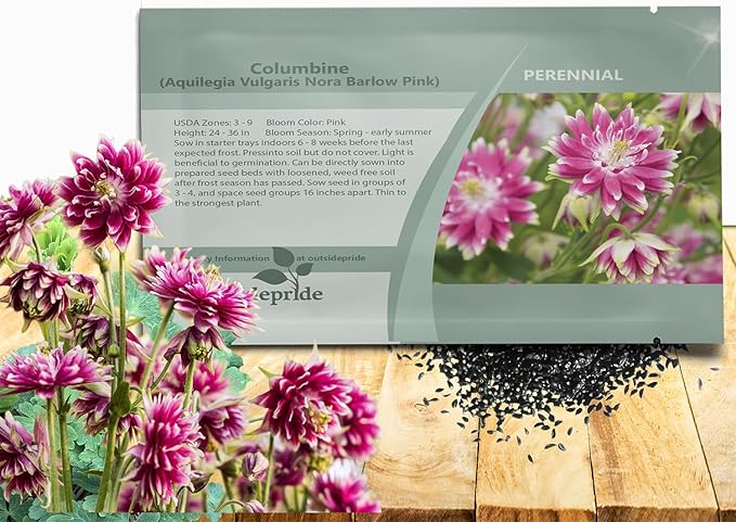 Outsidepride Nora Barlow Columbine Seeds - 1000 Pcs Perennial, Easy to Grow Flower Seeds for Planting, Suitable for Pollinator-Friendly Garden, Cut Floral Arrangements, Ground Covers, or Borders