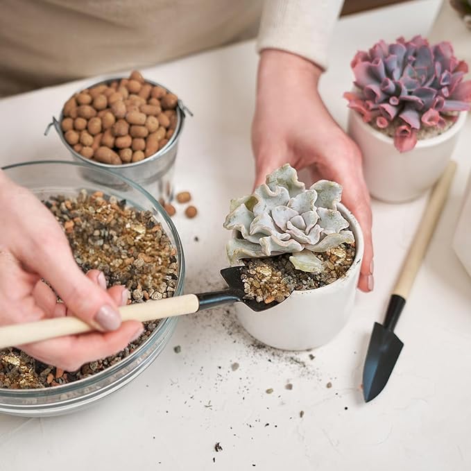 Vermiculite for Gardening 2qt, Coarse Vermiculite for Plant Propagation, Cutting and Seed Starting, Maintain Soil Moisture for Potting Orchids, Succulents, Fungi, and Hydroponics