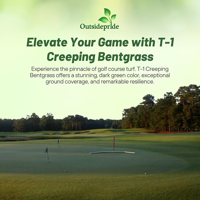 Outsidepride T-1 Creeping Bentgrass Seed - 1 lbs Fine-Bladed, Premium Quality Turf, Grass Seed for Smooth Surface, & High-Traffic Areas, Ideal Grass for Golf Courses Putting Greens, & Fairways