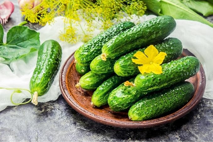 Cucumber Be st Seller F1 Seeds – Hybrid, Self-Pollinated | 37–40 Days to Harvest | High-Yield, Disease-Resistant Variety for Greenhouses & Open Fields