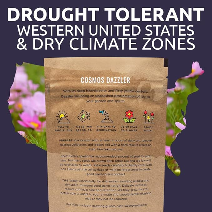 Dazzler Cosmos Wildflower Seeds - Bulk 1/4 Pound Bag - Over 20,000 Fresh Open Pollinated Non-GMO Flower Seeds - Stunning Bright Petals - Drought Tollerant