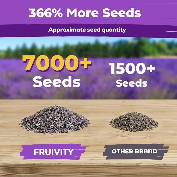 7,000+ Lavender Seeds Large Non GMO 3/4 Ounce Packet English Lavender Seeds- Heirloom Seeds Lavandula Angustifolia Wildflower Seed for Planting Indoor/Outdoor, High Germination, Plant Flower Seeds