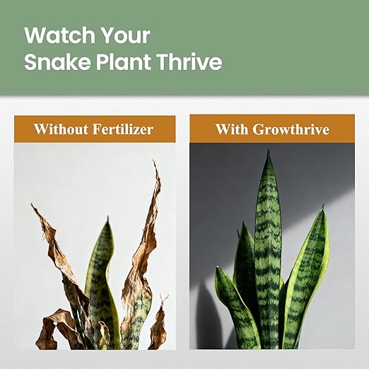 Snake Plant Fertilizer, 10 oz Organic Liquid Plant Food for Snake Plants, Natural Probiotic Formula with 200M Live Microbes/mL, Promotes Greener Leaves & Strong Roots, 1:400 Concentrate
