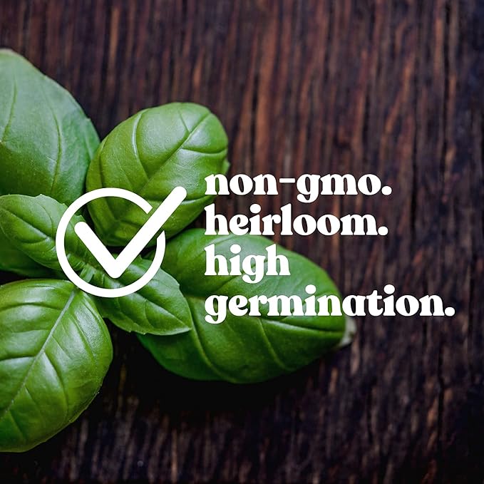 Essential Culinary Herb Garden Seed Collection - Basil, Chives, Cilantro, Parsley, and Oregano Seeds for Planting - ~2,300 Non-GMO, Heirloom Seeds - Charmingly Packaged Herb Seed Variety Pack