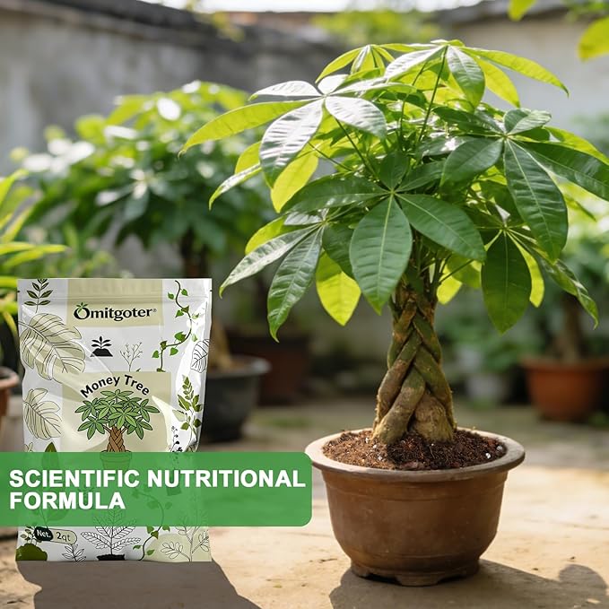 All-Natural Money Tree Soil & Indoor Potting Mix 4QT - Drainage-Enhanced Plant Soil for Healthy Indoor Plants