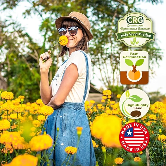 Fragrant Wildflower Seeds Mix - 1oz, Aromatic Annual and Perennial Wildflower Seeds – Create The Perfect Garden.