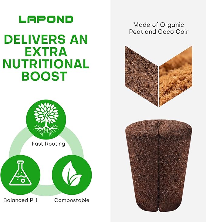 40 Pcs Grow Sponges with Tray, Starter Plugs for Cuttings, Great for Soil, Tray or Planting Pods Plant Rooter, Promotes Herbs, Vegetables and Flowers Growth